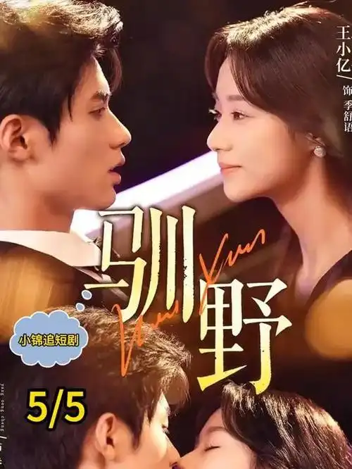 雾城十二时悬疑电视剧全集在线观看